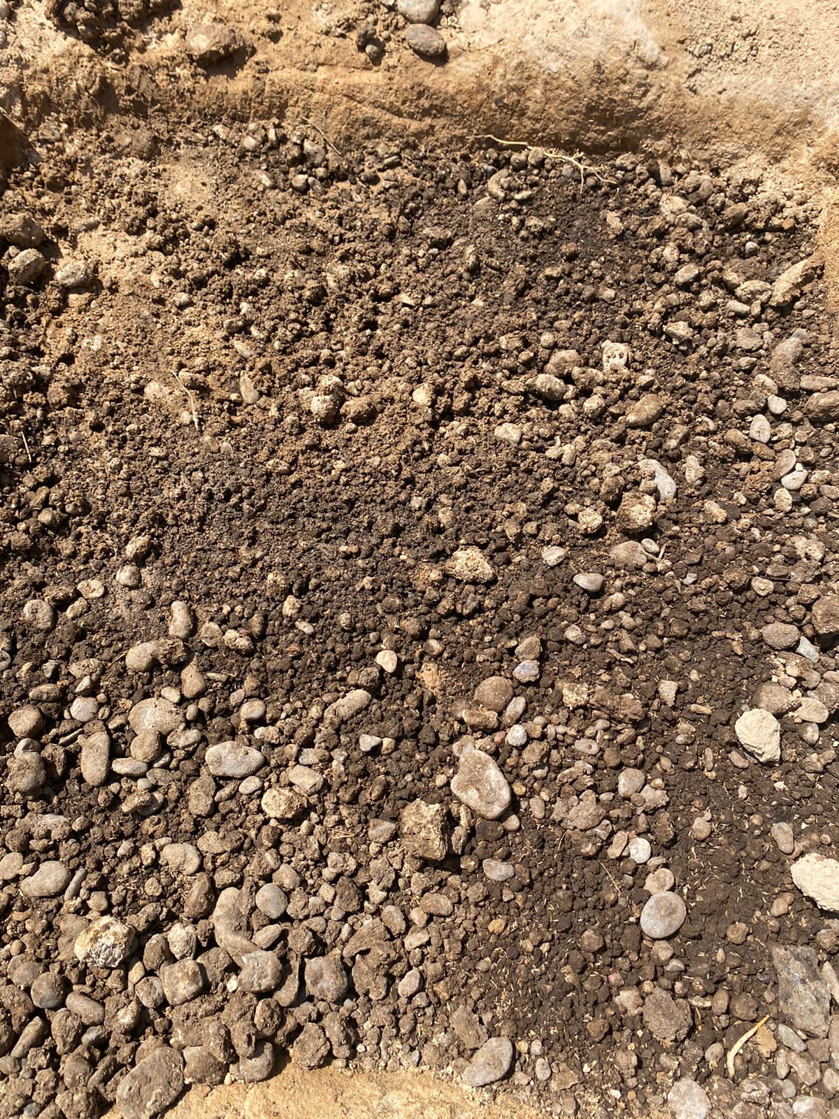 WhatsApp Image 2025 12 10 at 8.15.34 PM 1