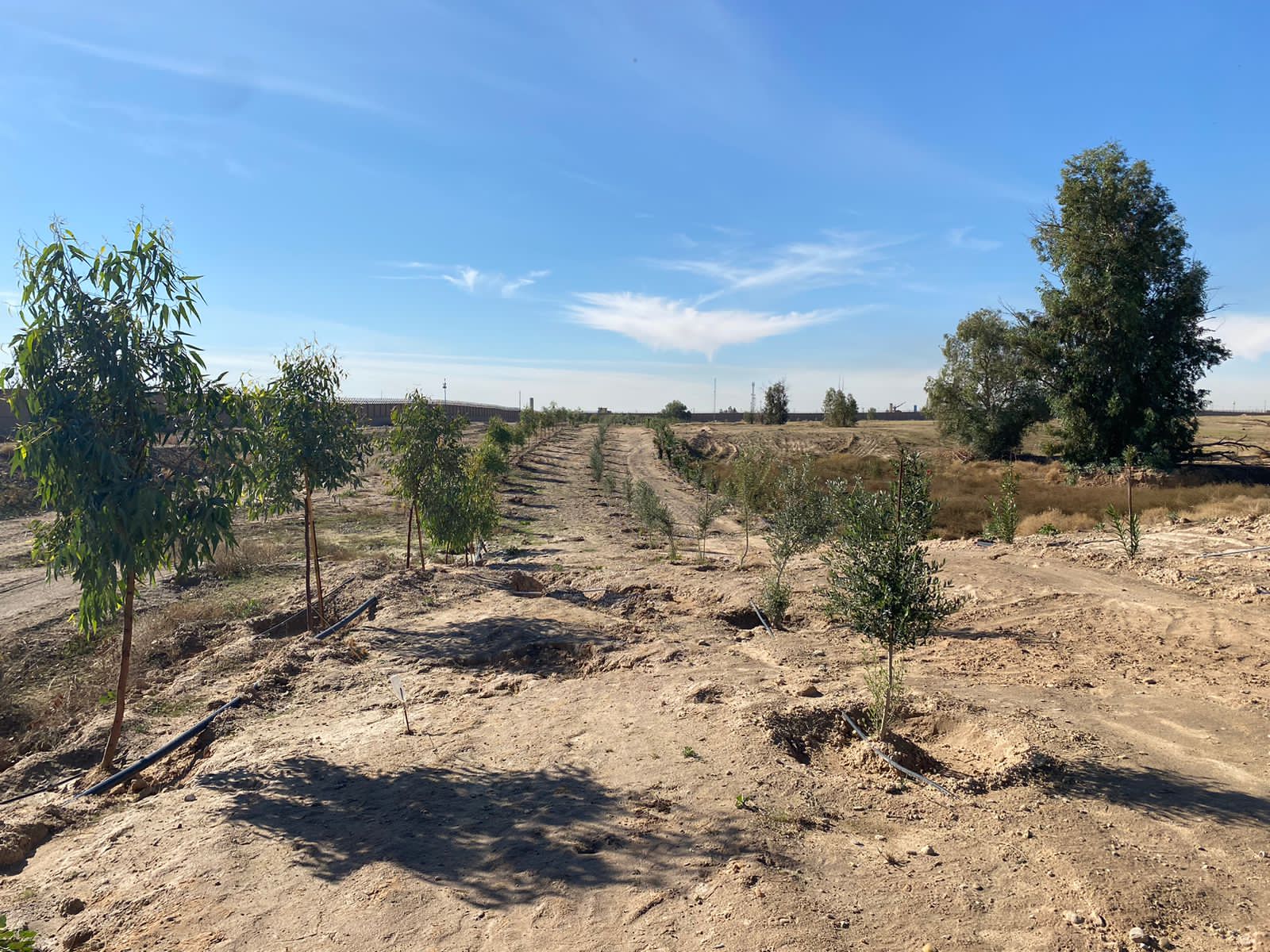 WhatsApp Image 2025 12 10 at 8.15.34 PM 2